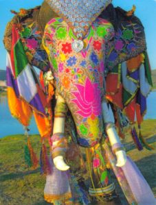 Equilibre parfait entre l'Homme, l'Animal et l'Art